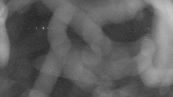 Zámecké koupaliště Holešov