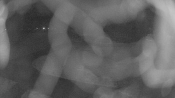 Zámecké koupaliště Holešov