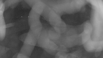 Zámecké koupaliště Holešov