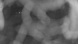 Areál koupaliště Holešov