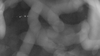 Zámecké koupaliště Holešov