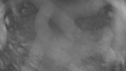 Areál koupaliště Holešov