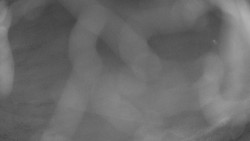 Areál koupaliště Holešov