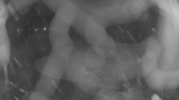 Zámecké koupaliště Holešov