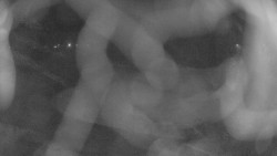 Areál koupaliště Holešov