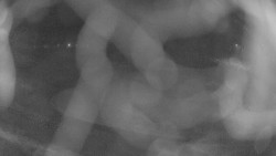 Areál koupaliště Holešov