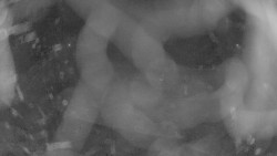 Areál koupaliště Holešov