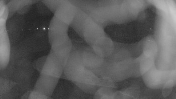 Zámecké koupaliště Holešov