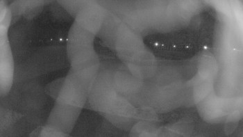 Zámecké koupaliště Holešov