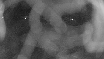 Zámecké koupaliště Holešov