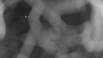 Zámecké koupaliště Holešov