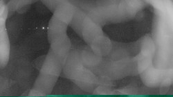 Areál koupaliště Holešov