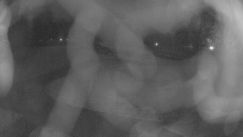 Zámecké koupaliště Holešov