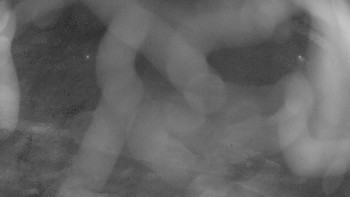 Zámecké koupaliště Holešov