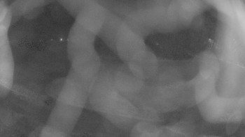 Zámecké koupaliště Holešov