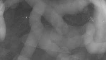 Zámecké koupaliště Holešov