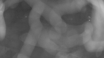 Zámecké koupaliště Holešov