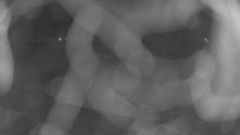 Zámecké koupaliště Holešov