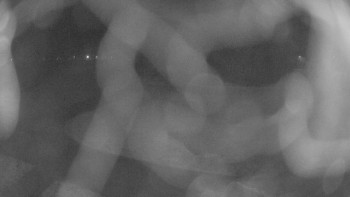 Zámecké koupaliště Holešov