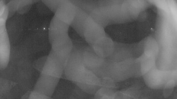 Zámecké koupaliště Holešov