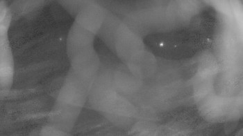 Zámecké koupaliště Holešov