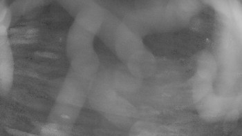 Zámecké koupaliště Holešov