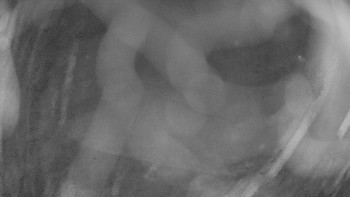 Zámecké koupaliště Holešov