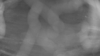 Zámecké koupaliště Holešov