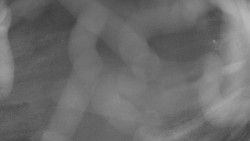 Areál koupaliště Holešov