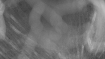 Zámecké koupaliště Holešov