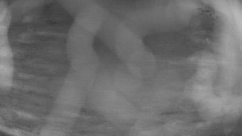 Zámecké koupaliště Holešov