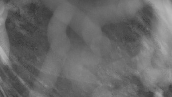 Zámecké koupaliště Holešov