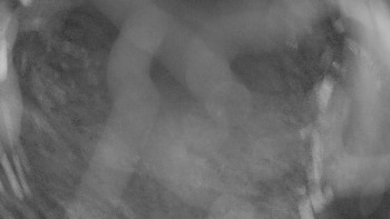 Zámecké koupaliště Holešov