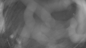 Zámecké koupaliště Holešov