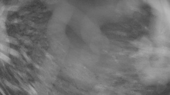 Zámecké koupaliště Holešov