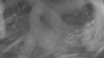 Zámecké koupaliště Holešov