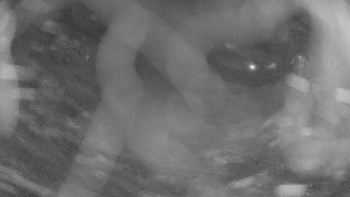 Zámecké koupaliště Holešov