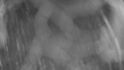 Areál koupaliště Holešov