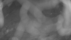 Areál koupaliště Holešov