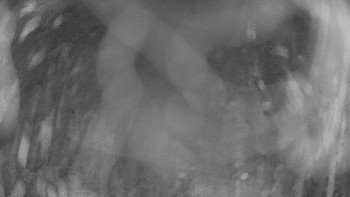 Zámecké koupaliště Holešov