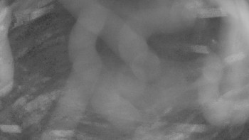 Zámecké koupaliště Holešov