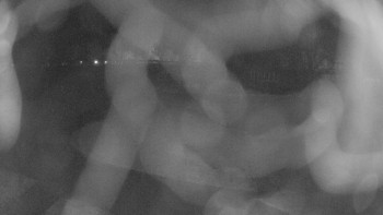 Zámecké koupaliště Holešov