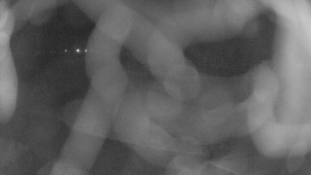 Zámecké koupaliště Holešov