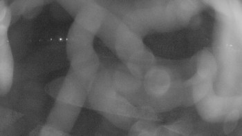 Zámecké koupaliště Holešov