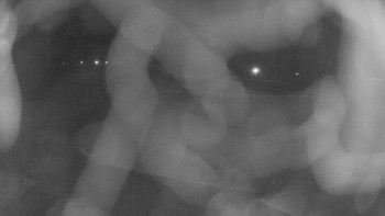 Zámecké koupaliště Holešov