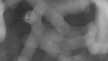 Zámecké koupaliště Holešov