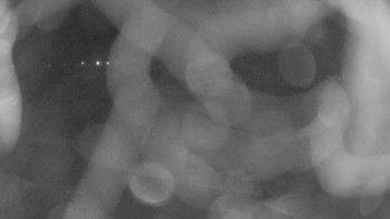 Zámecké koupaliště Holešov