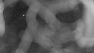 Zámecké koupaliště Holešov - Areál koupaliště Holešov - 25.12.2025 v 05:45