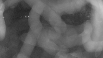 Zámecké koupaliště Holešov