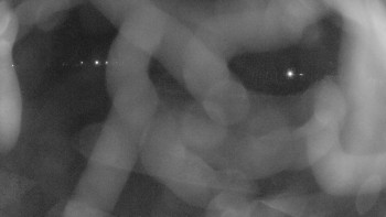 Zámecké koupaliště Holešov